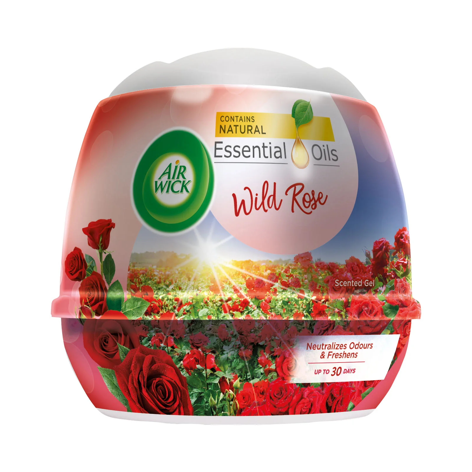 Air Wick Standard Gel Cone Rose 180g - Image 2