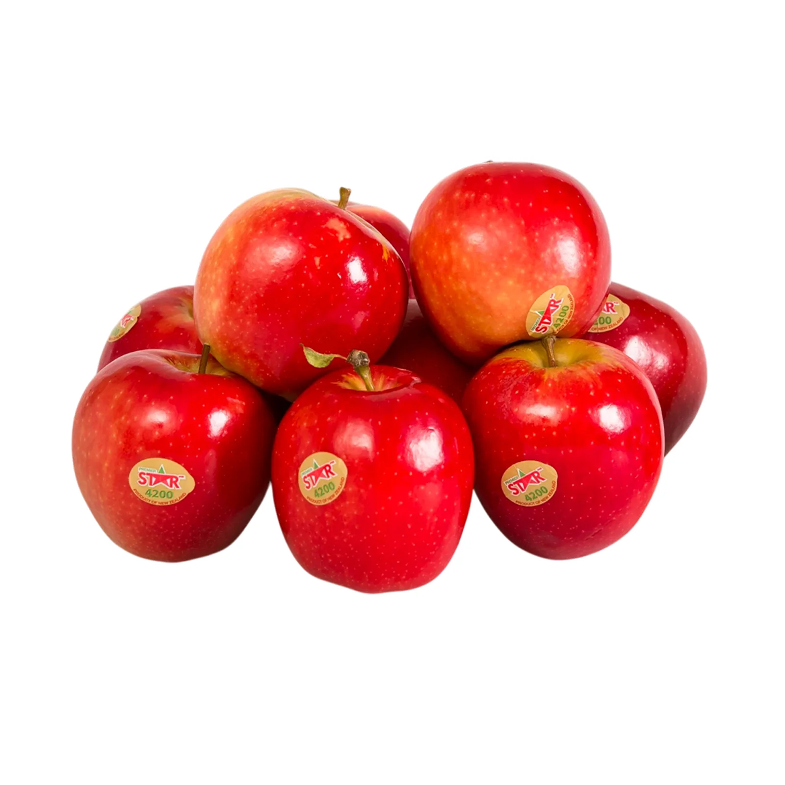 Premier Star Apple (New Zealand) 8pcs/pack - Image 2