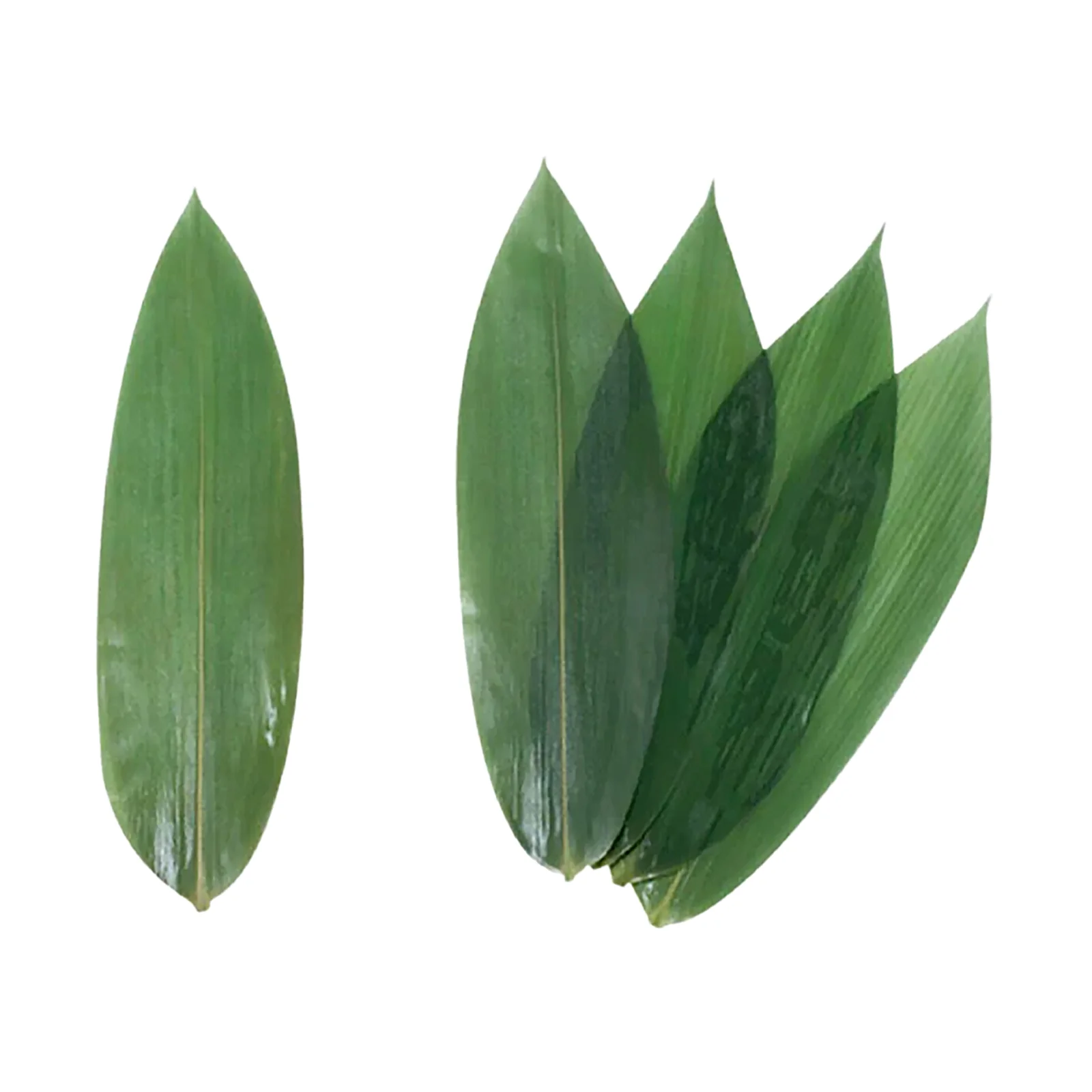 Bamboo Leaves 8cm 1pack