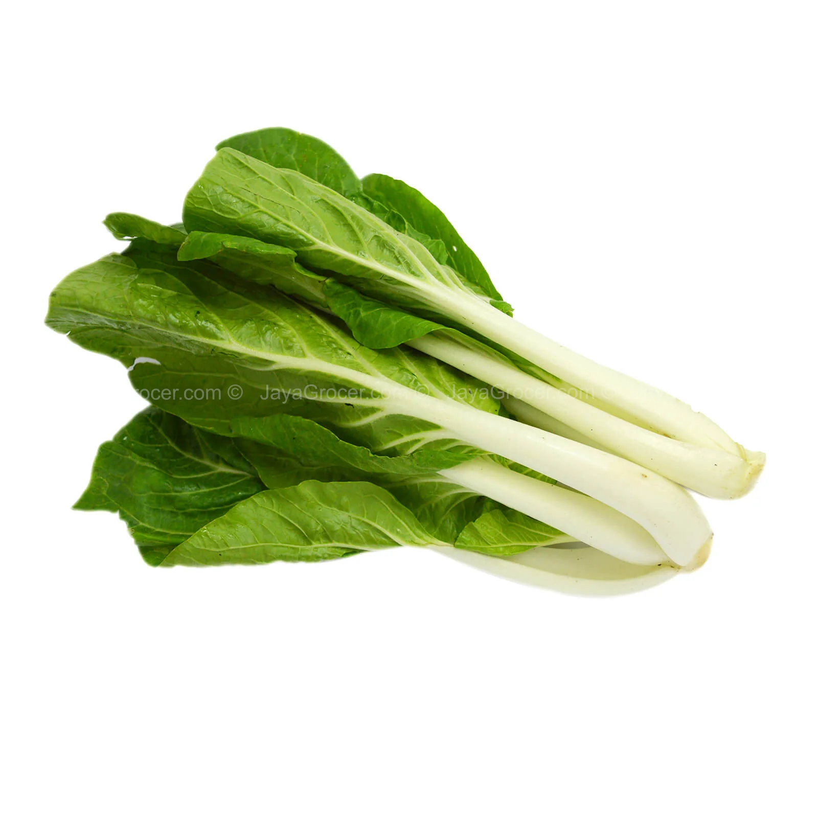 Bok Choy (Sawi Putih) 350g - Image 2