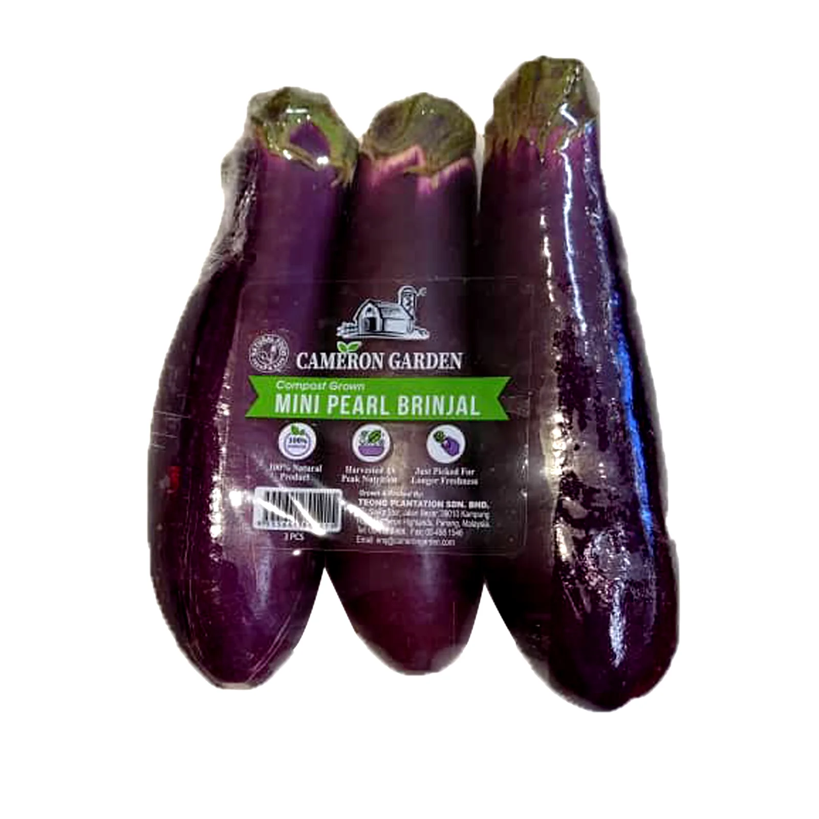 Cameron Garden Mini Pearl Brinjal (Malaysia) 3pcs/pack - Image 2