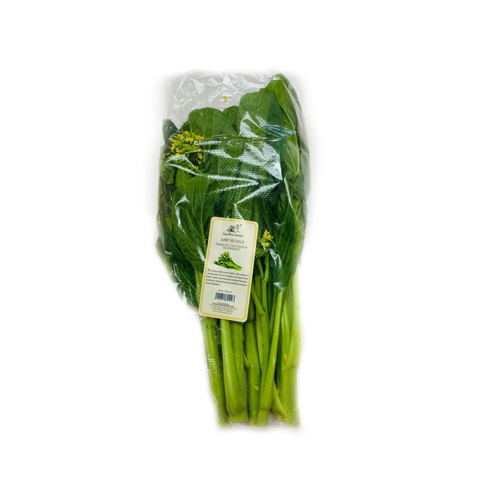 Cameron Garden Probiotic Bunga Sawi (Malaysia) 250g - Image 2