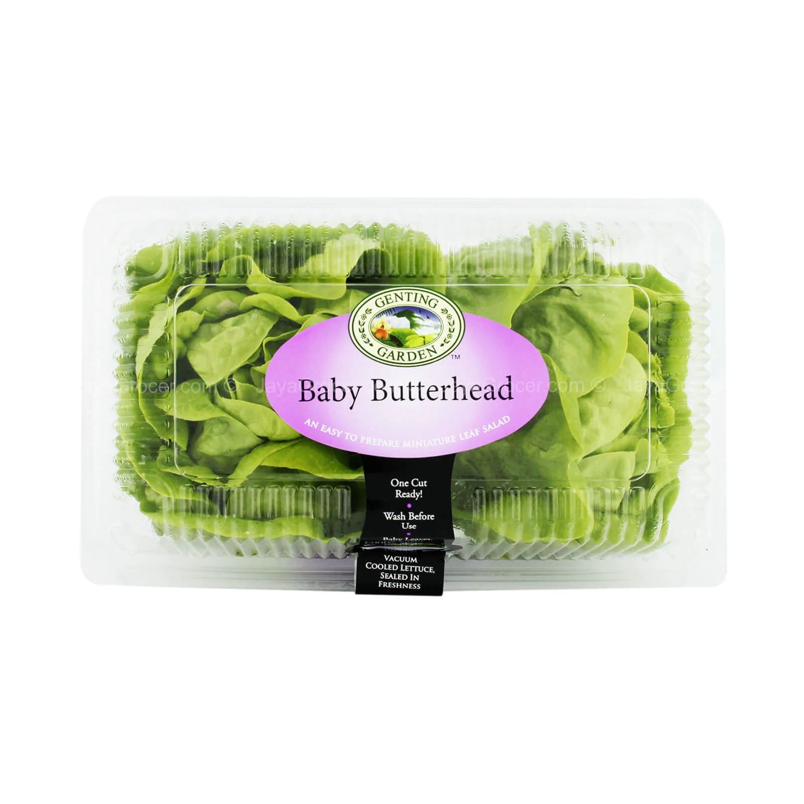 Genting Garden Baby Butterhead Lettuce (Malaysia) 200g - Image 2