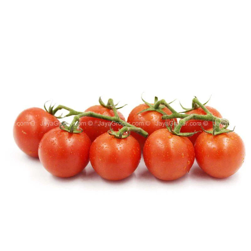 Genting Garden Cocktail Truss Tomato 8pcs/pack - Image 2