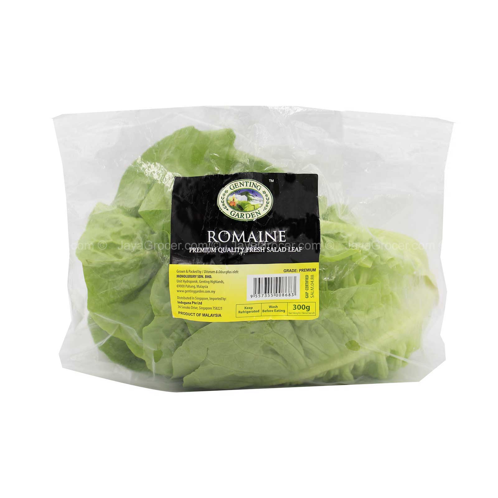 Genting Garden Romaine Lettuce (Malaysia) 300g - Image 2