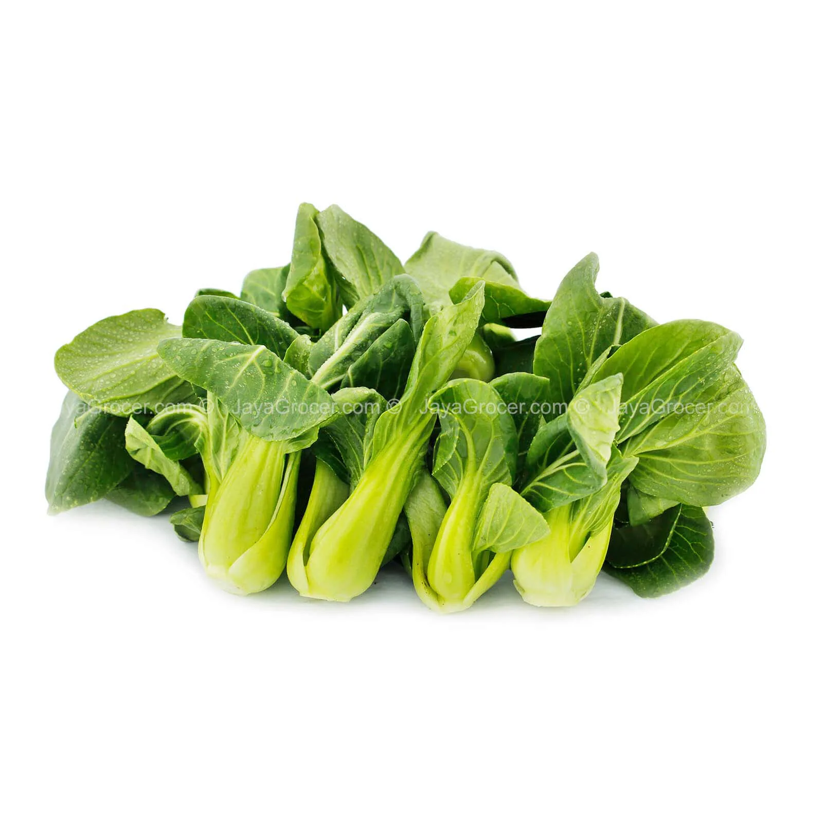 Hong Kong Baby Siew Pak Choy (China) 200g - Image 2