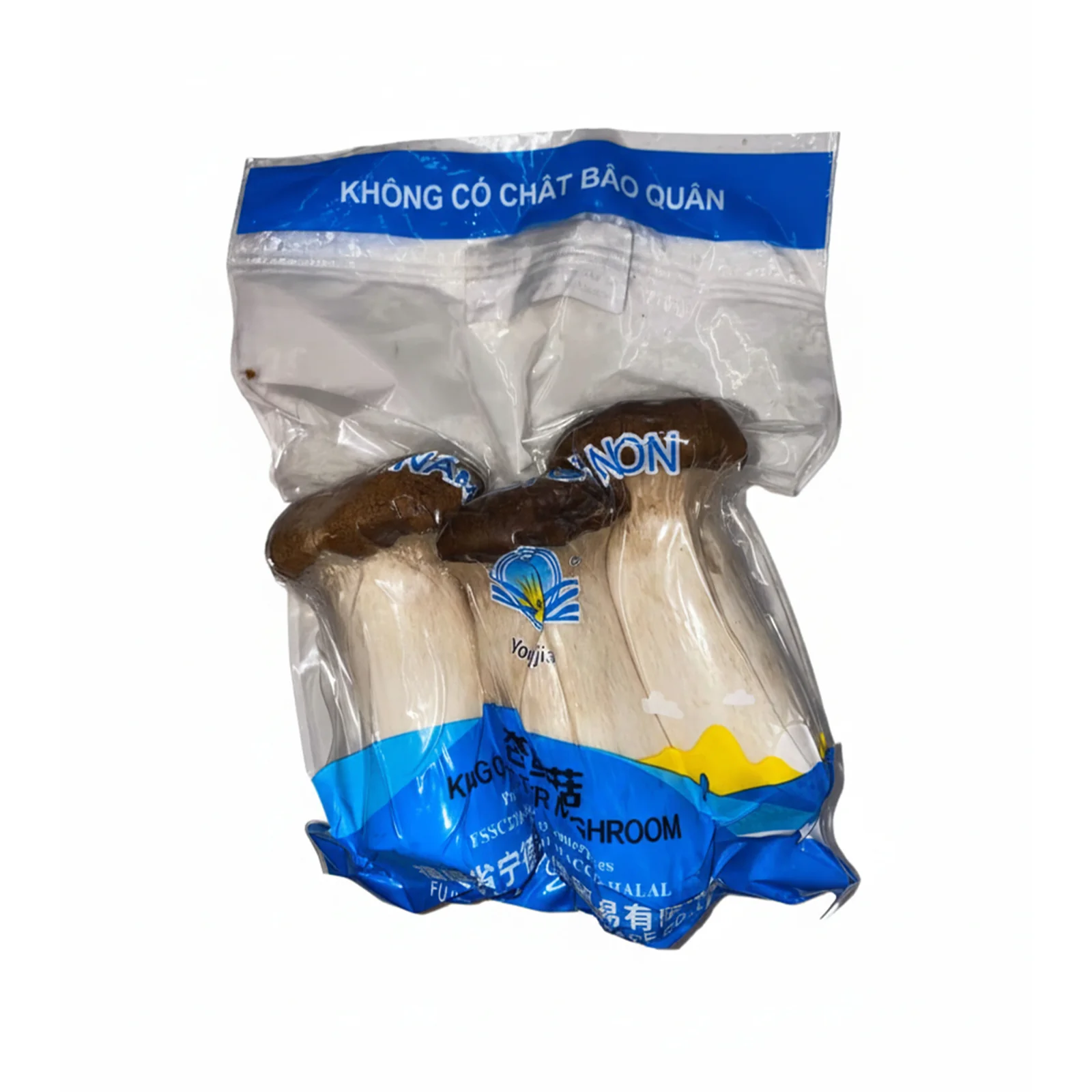 King Oyster Mushroom (China) 200g - Image 2