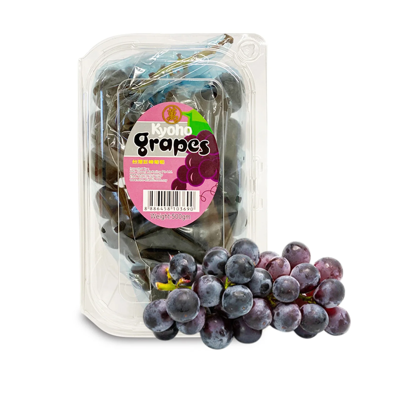 Kyoho Grape (Taiwan) 500g - Image 2