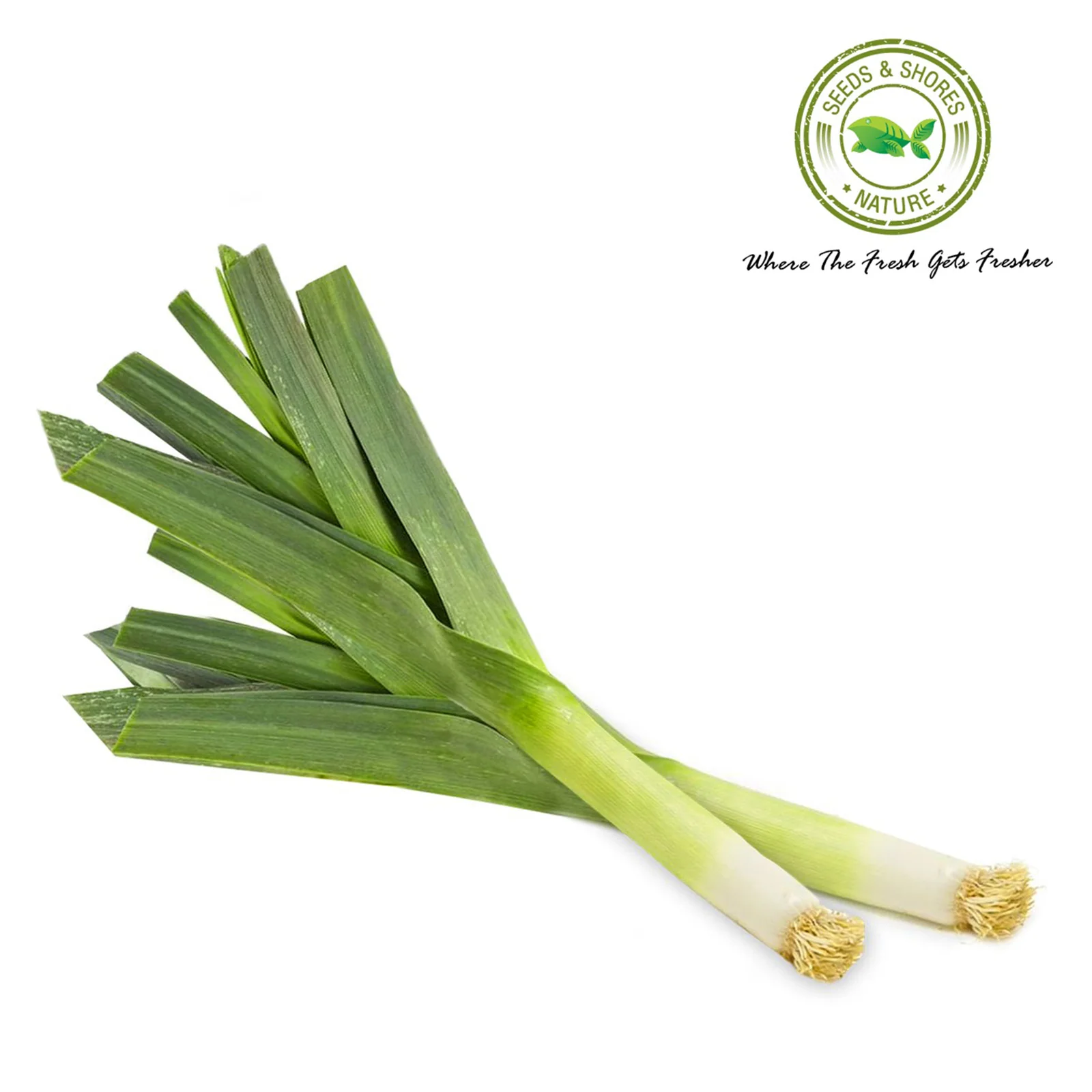 Leeks (Australia) 400g - Image 2