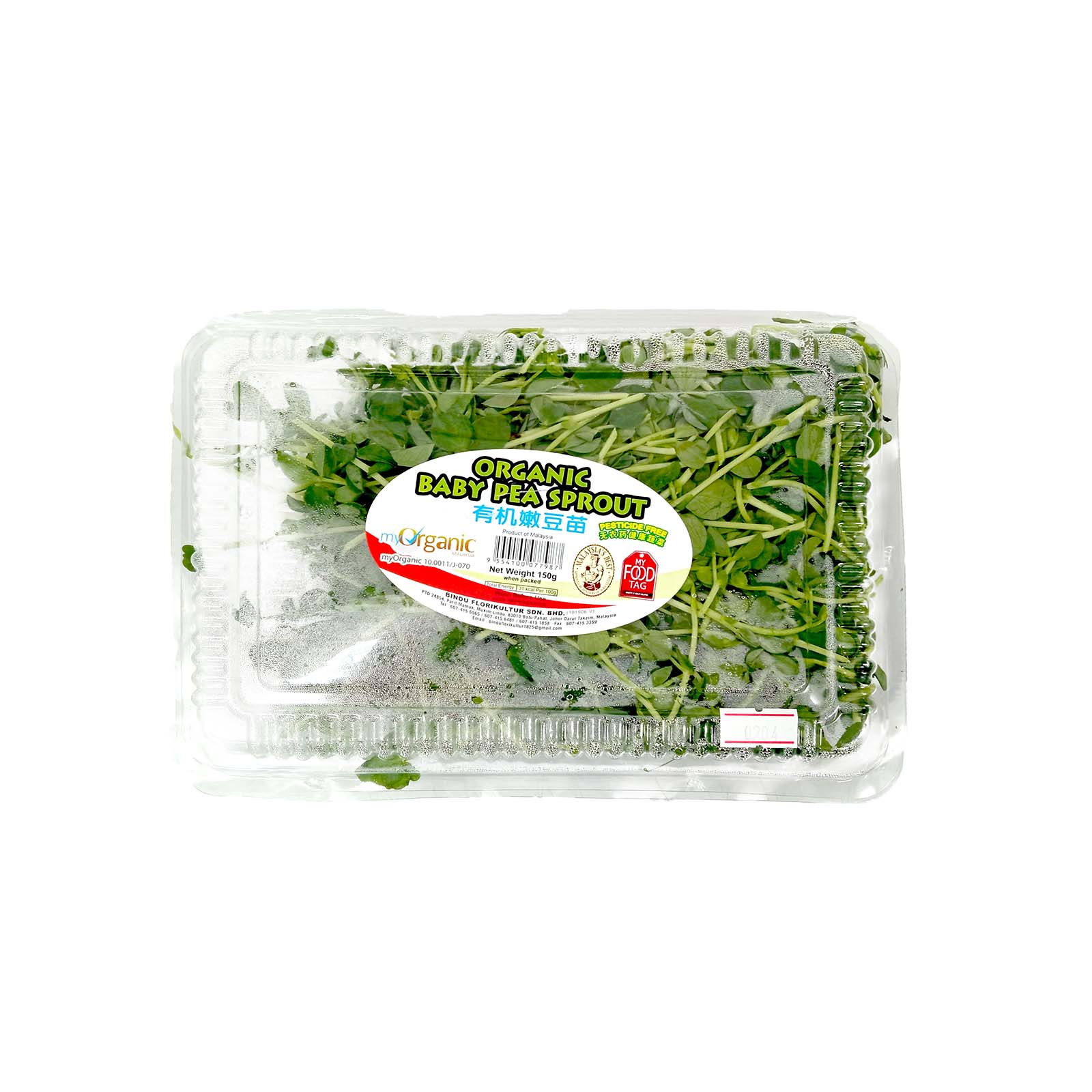 Organic Baby Pea Sprout (Malaysia) 150g - Image 2