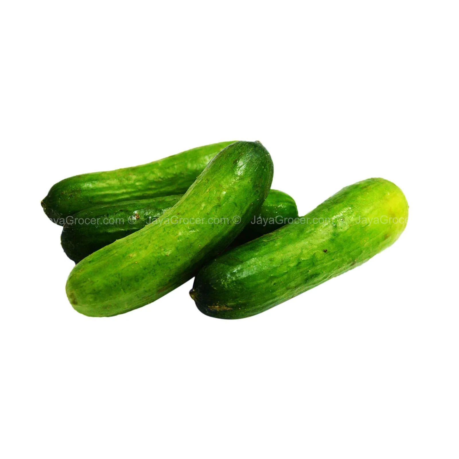 Paprika Farm Mini Crunchy Cucumber 300g - Image 2