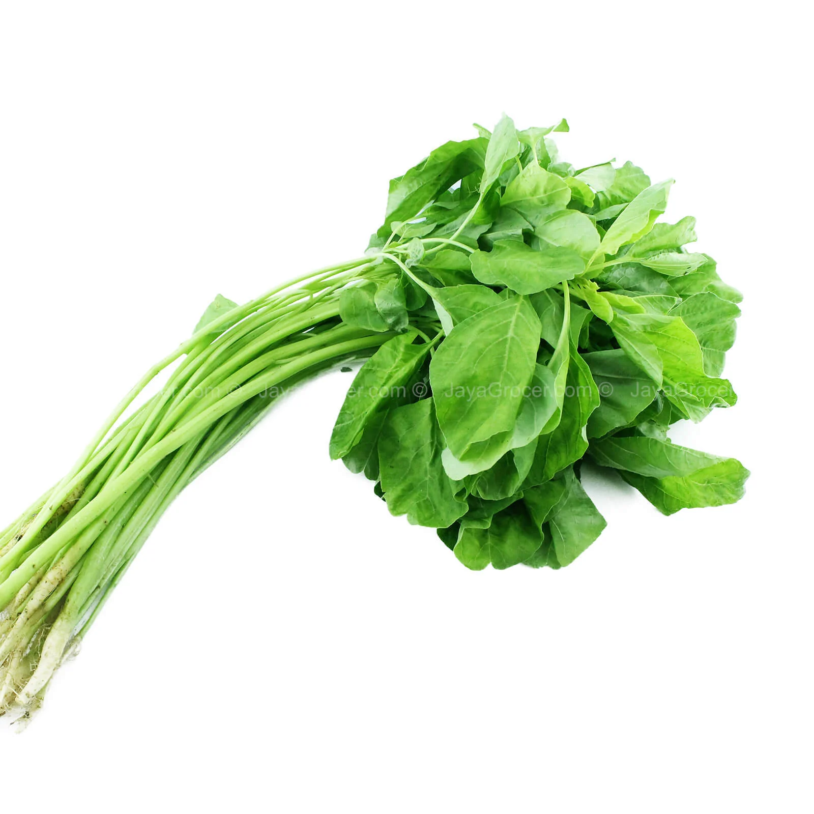 Summer Harvest Round Spinach (Bayam Bulat) 250g - Image 2